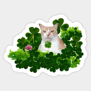 You Are My Lucky Charm (Kitty Holding 4 Leaf Clover) Sticker